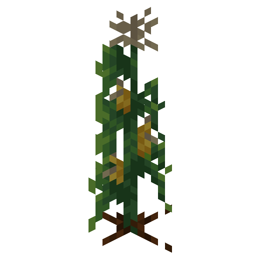 File:Borukva Food Corn Crop Age 4.png