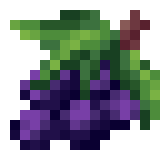 Borukva Food Grape.png: Infobox image for Grape the item in Minecraft