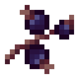 Borukva Food Blackcurrants.png: Infobox image for Blackcurrants the item in Minecraft