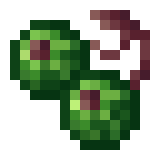 Borukva Food Gooseberry.png: Infobox image for Gooseberry the item in Minecraft