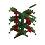 Borukva Food Tomato Crop Age 3.png: Infobox image for Tomato Seeds the item in Minecraft