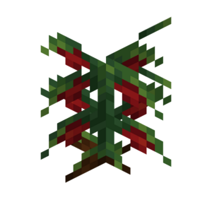 Borukva Food Tomato Crop Age 3.png