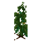 Borukva Food Cucumber Crop Age 3.png: Infobox image for Cucumber Seeds the item in Minecraft