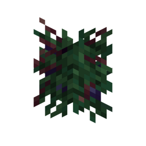 Borukva Food Blackcurrant Bush Age 2.png