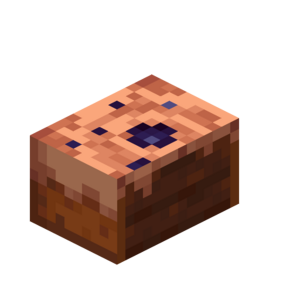 Borukva Food Chocolate Cake 2 Bites.png