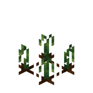 Borukva Food Onion Crop Age 0.png