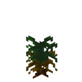 Borukva Food Rice Crop Age 1.png: Infobox image for Rice the item in Minecraft