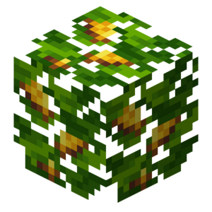 Borukva Food Lemon Fruit Leaves With Fruit.png