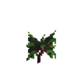 Borukva Food Grape Sapling Age 1.png: Infobox image for Grape Sapling the item in Minecraft