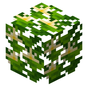 Borukva Food Lemon Fruit Leaves.png