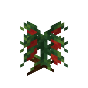 Borukva Food Tomato Crop Age 2.png