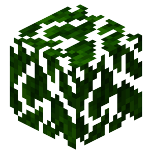 Borukva Food Avocado Leaves.png