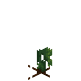 Borukva Food Cucumber Crop Age 0.png: Infobox image for Cucumber Seeds the item in Minecraft