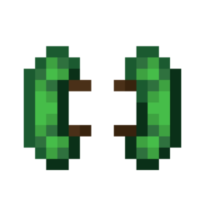 Scorchful Turtle Knee Pads.png