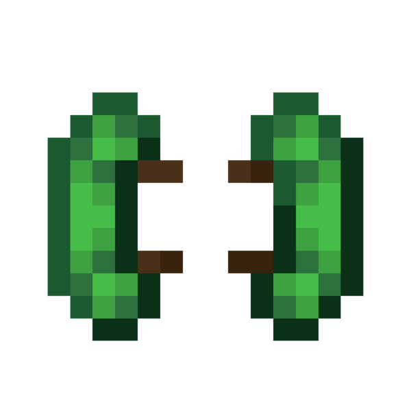 File:Scorchful Turtle Knee Pads.png