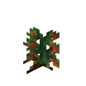 Borukva Food Tomato Crop Age 1.png