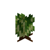 Borukva Food Lettuce Crop Age 2.png: Infobox image for Lettuce Seeds the item in Minecraft