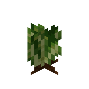 Borukva Food Lettuce Crop Age 2.png