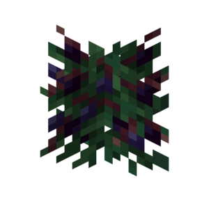 Borukva Food Blackcurrant Bush Age 3.png