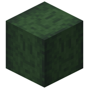 Borukva Food Stripped Avocado Wood.png