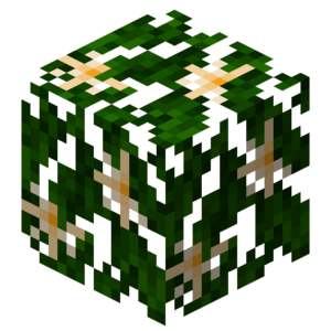 Borukva Food Avocado Fruit Leaves.png