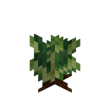 Borukva Food Lettuce Crop Age 1.png: Infobox image for Lettuce Seeds the item in Minecraft