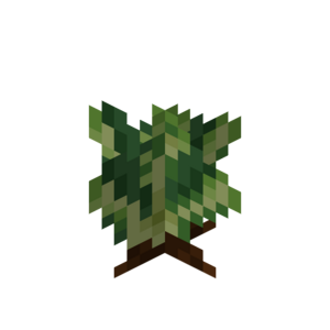 Borukva Food Lettuce Crop Age 1.png