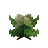 Borukva Food Cabbage Crop Age 3.png: Infobox image for Cabbage Seeds the item in Minecraft
