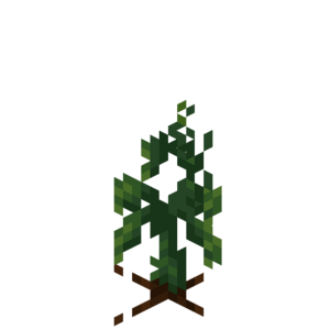 Borukva Food Cucumber Crop Age 1.png