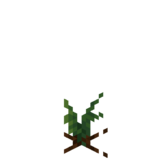 Borukva Food Corn Crop Age 0.png: Infobox image for Corn Seeds the item in Minecraft