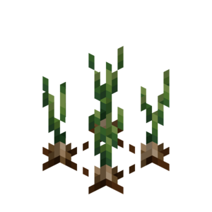 Borukva Food Onion Crop Age 2.png