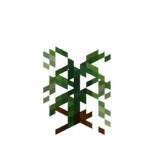 Borukva Food Chilli Pepper Crop Age 1.png: Infobox image for Chilli Pepper Seeds the item in Minecraft