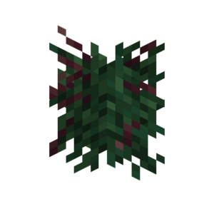 Borukva Food Blackcurrant Bush Age 1.png