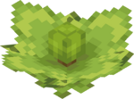 LegendOfSteve Bomb Flower Plant Age 1.png: Infobox image for Bomb Flower Seeds the block in Minecraft