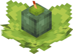 LegendOfSteve Bomb Flower Plant Age 2.png: Infobox image for Bomb Flower Seeds the block in Minecraft
