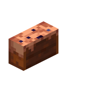 Borukva Food Chocolate Cake 4 Bites.png