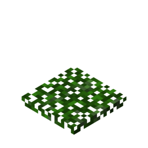 Bwt block vine trap.png