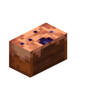 Borukva Food Chocolate Cake 3 Bites.png