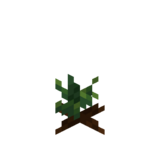 Borukva Food Lettuce Crop Age 0.png: Infobox image for Lettuce Seeds the item in Minecraft