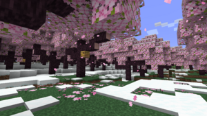 DusksBiome Snowy Cherry Grove.png