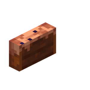 Borukva Food Chocolate Cake 5 Bites.png