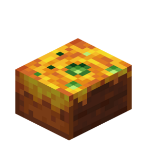 Borukva Food Honey Cake 1 Bite.png