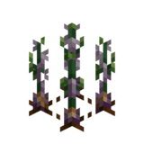 Borukva Food Ender Infected Onion Crop Age 3.png: Infobox image for Ender Infected Onion Seeds the item in Minecraft