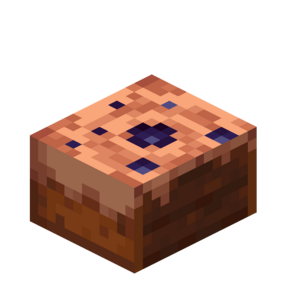 Borukva Food Chocolate Cake 1 Bite.png