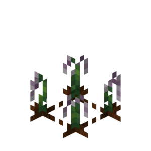 Borukva Food Ender Infected Onion Crop Age 0.png