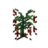 Borukva Food Chilli Pepper Crop Age 3.png: Infobox image for Chilli Pepper Seeds the item in Minecraft