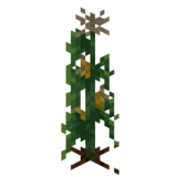 Borukva Food Corn Crop Age 3.png: Infobox image for Corn Seeds the item in Minecraft
