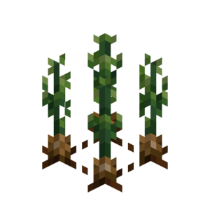 Borukva Food Onion Crop Age 3.png