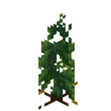 Borukva Food Cucumber Crop Age 2.png: Infobox image for Cucumber Seeds the item in Minecraft