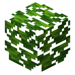 Borukva Food Lemon Leaves.png